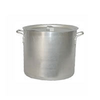 Stock Pot 36L (with Lid)